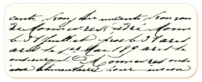 Carimbo Litoarte BACKGROUND TEXTO P