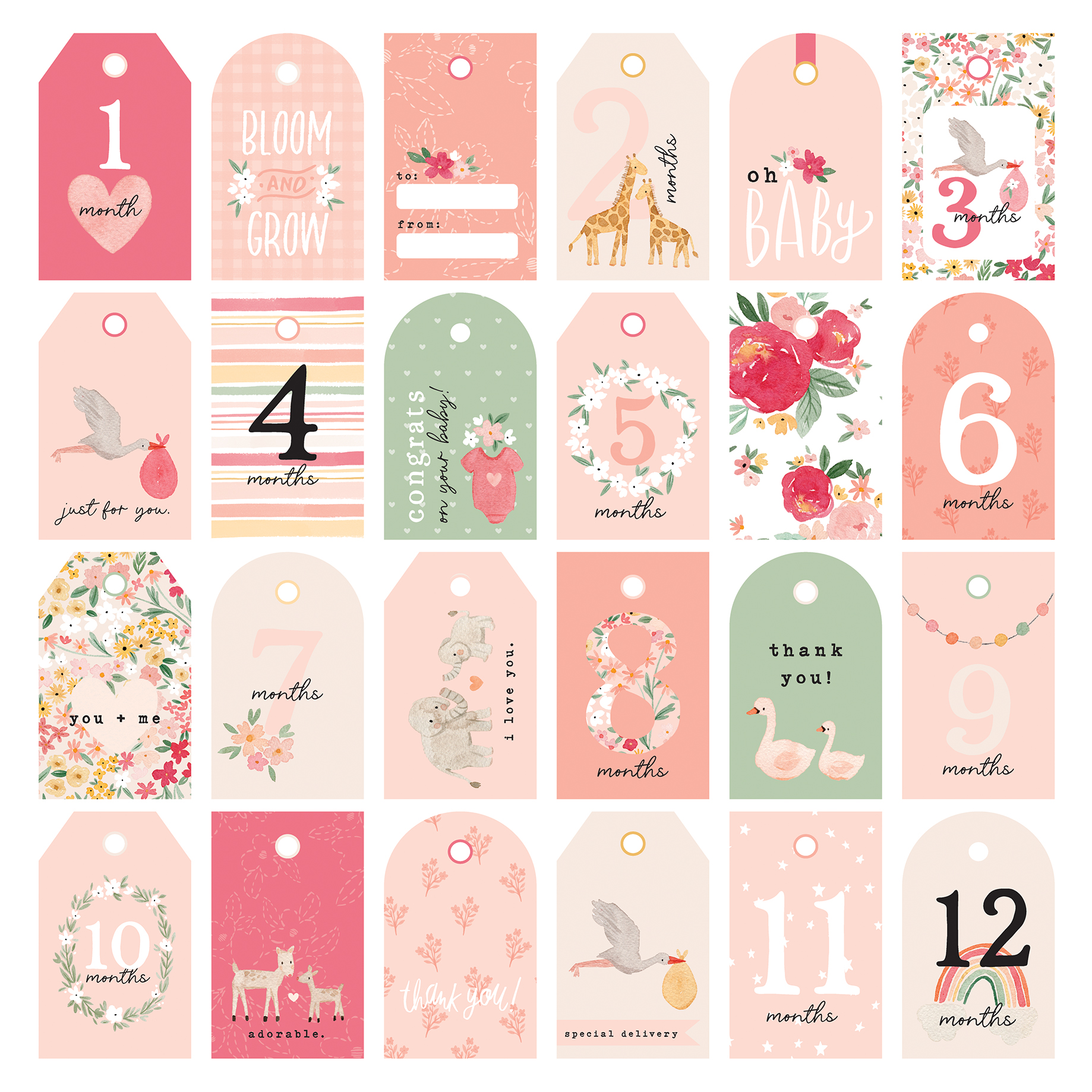Kit Coleção WELCOME BABY GIRL 12F + Adesivos - Imagem 17